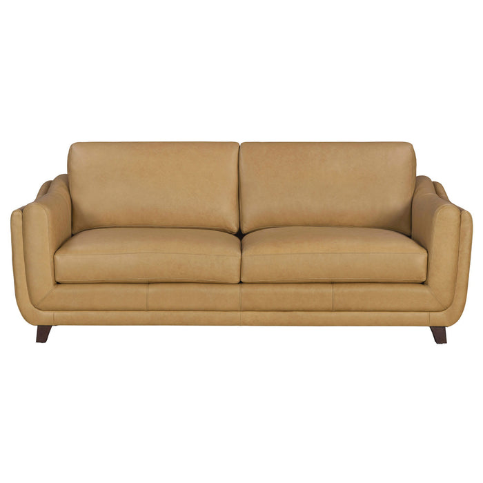 Hayden - Sofa Set