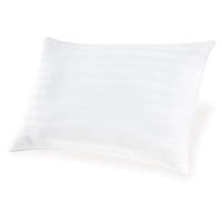 Zephyr 2.0 Pillow (Set of 2)